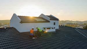 Best Roof Moss and Algae Removal  in Prospect Heights, IL